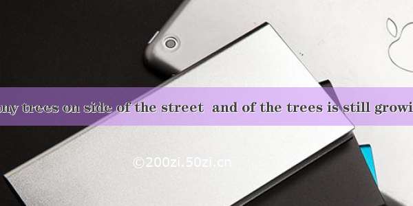 There are many trees on side of the street  and of the trees is still growing.A. both; th