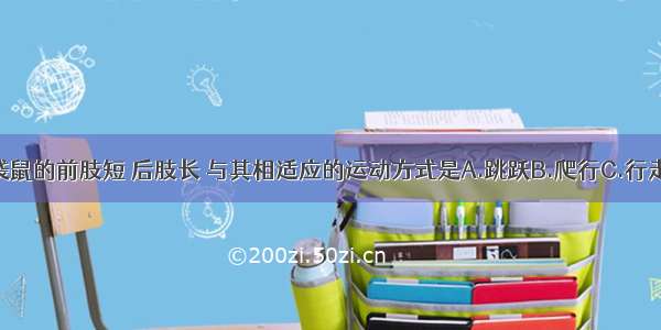 单选题袋鼠的前肢短 后肢长 与其相适应的运动方式是A.跳跃B.爬行C.行走D.蠕动