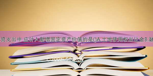 下列建设投资支出中 应计入新增固定资产价值的是()A.土地使用权出让金B.融资费用C.专