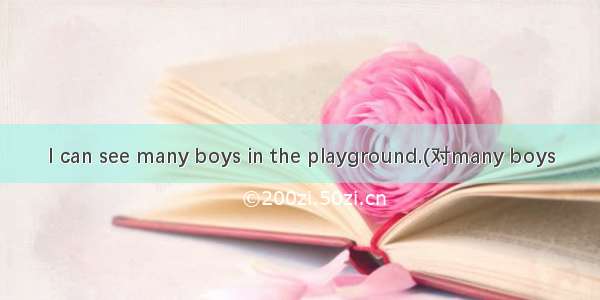 I can see many boys in the playground.(对many boys