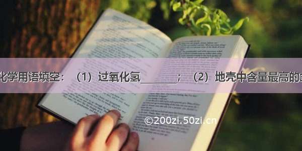 请用准确的化学用语填空：（1）过氧化氢________；（2）地壳中含量最高的金属元素____