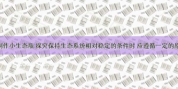 在设计和制作小生态瓶 探究保持生态系统相对稳定的条件时 应遵循一定的原理 下列设