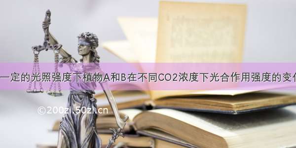 右图表示在一定的光照强度下植物A和B在不同CO2浓度下光合作用强度的变化 据图分析 