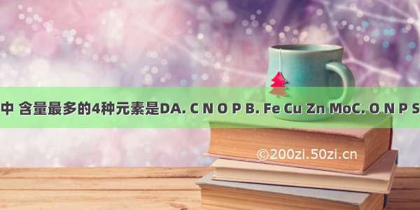 在玉米细胞中 含量最多的4种元素是DA. C N O P B. Fe Cu Zn MoC. O N P S D. C H O N