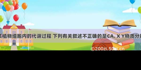 右图表示某植物细胞内的代谢过程 下列有关叙述不正确的是CA. X Y物质分别代表三碳