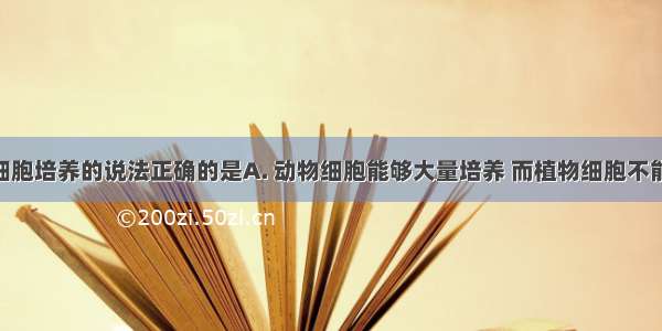 下列关于细胞培养的说法正确的是A. 动物细胞能够大量培养 而植物细胞不能B. 二者的