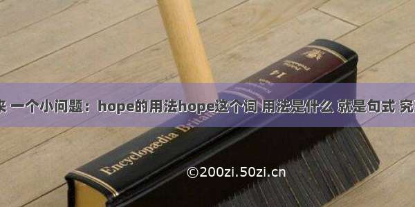 英语高手进来 一个小问题：hope的用法hope这个词 用法是什么 就是句式 究竟是hope to