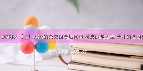 玉米（♀）DDRR×（♂）ddrr的杂交组合后代中 种皮的基因型 子叶的基因型 胚乳细胞