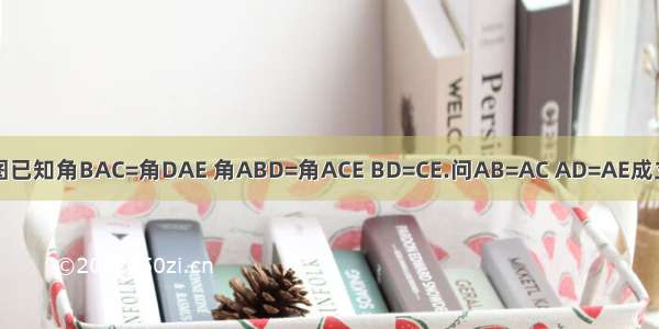 如图已知角BAC=角DAE 角ABD=角ACE BD=CE.问AB=AC AD=AE成立吗