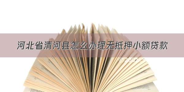 河北省清河县怎么办理无抵押小额贷款