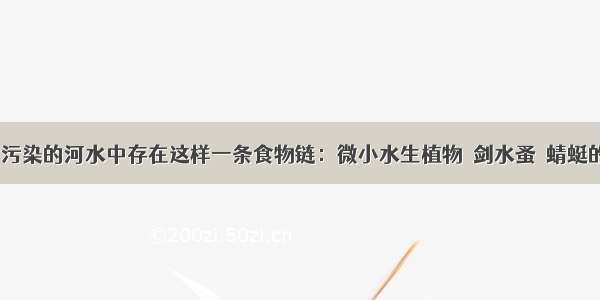 被有毒物质污染的河水中存在这样一条食物链：微小水生植物→剑水蚤→蜻蜓的幼虫→小鱼