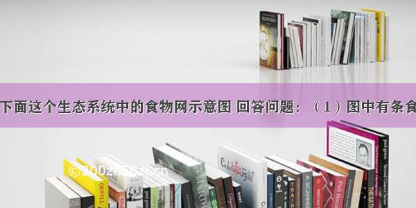 请仔细观察下面这个生态系统中的食物网示意图 回答问题：（1）图中有条食物链。请写