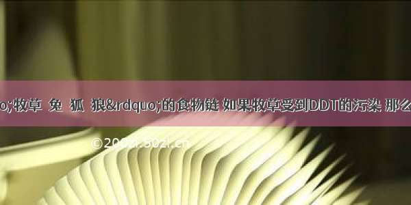 草原存在着“牧草→兔→狐→狼”的食物链 如果牧草受到DDT的污染 那么下列生物中DDT