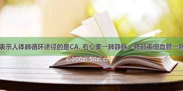 下面能正确表示人体肺循环途径的是CA. 右心室→肺静脉→肺部毛细血管→肺动脉→左心