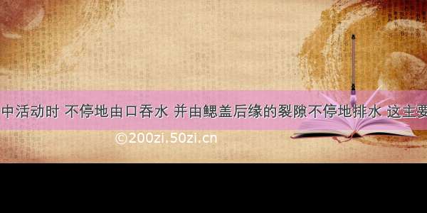 鲫鱼在水中活动时 不停地由口吞水 并由鳃盖后缘的裂隙不停地排水 这主要是DA. 鲫