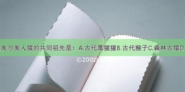 单选题人类与类人猿的共同祖先是：A.古代黑猩猩B.古代猴子C.森林古猿D.古代鳄鱼