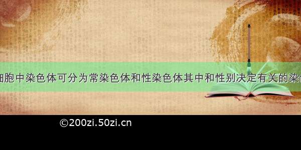 正常人的体细胞中染色体可分为常染色体和性染色体其中和性别决定有关的染色体称为性染