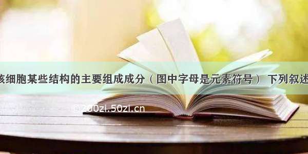 下图表示真核细胞某些结构的主要组成成分（图中字母是元素符号） 下列叙述正确的是AA