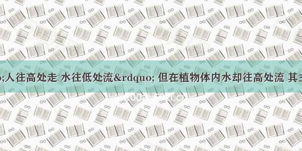 俗话说 “人往高处走 水往低处流” 但在植物体内水却往高处流 其主要原因是DA. 