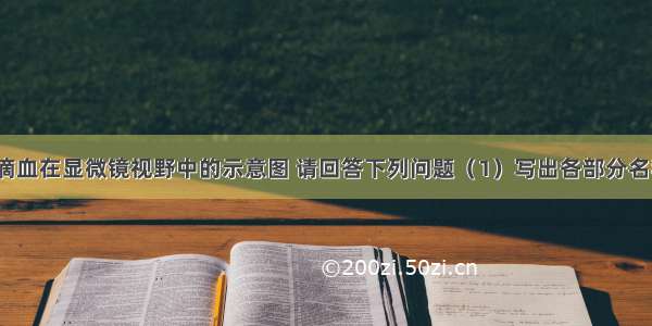 如图是一滴血在显微镜视野中的示意图 请回答下列问题（1）写出各部分名称：A B　 C