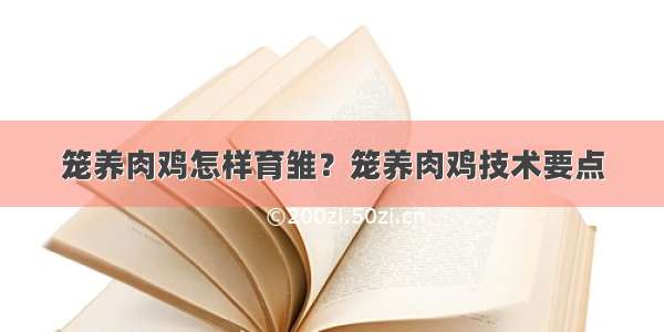 笼养肉鸡怎样育雏？笼养肉鸡技术要点