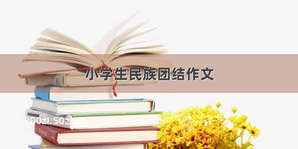 小学生民族团结作文