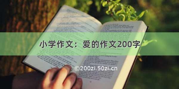 小学作文：爱的作文200字