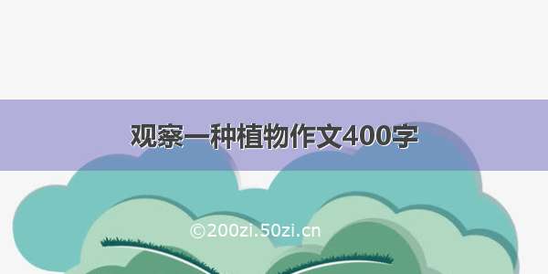 观察一种植物作文400字