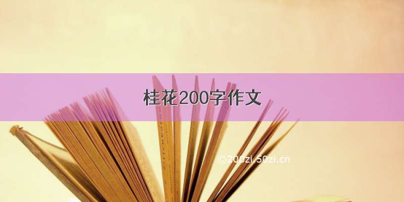 桂花200字作文