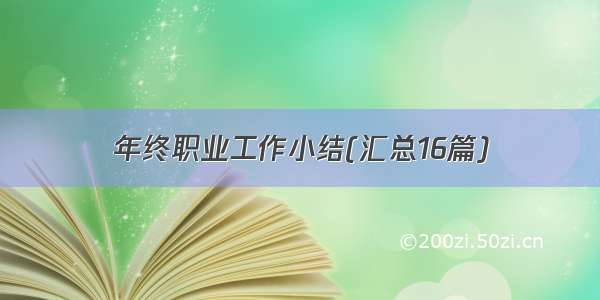 年终职业工作小结(汇总16篇)