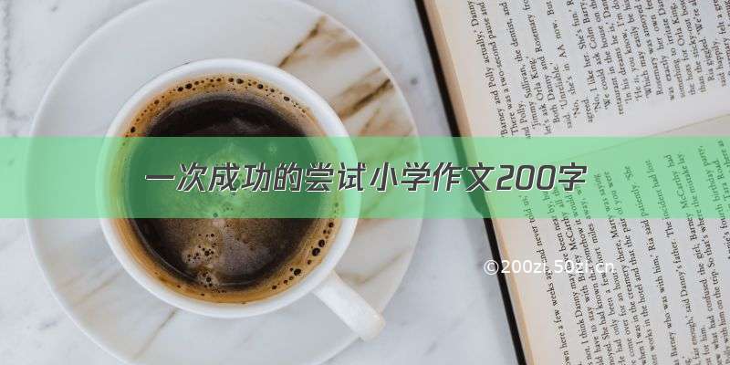 一次成功的尝试小学作文200字