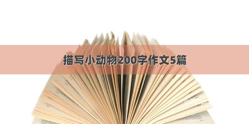 描写小动物200字作文5篇