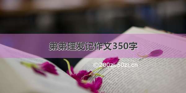 弟弟理发记作文350字